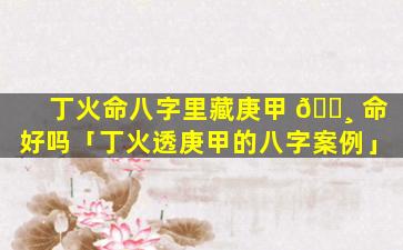 丁火命八字里藏庚甲 🕸 命好吗「丁火透庚甲的八字案例」